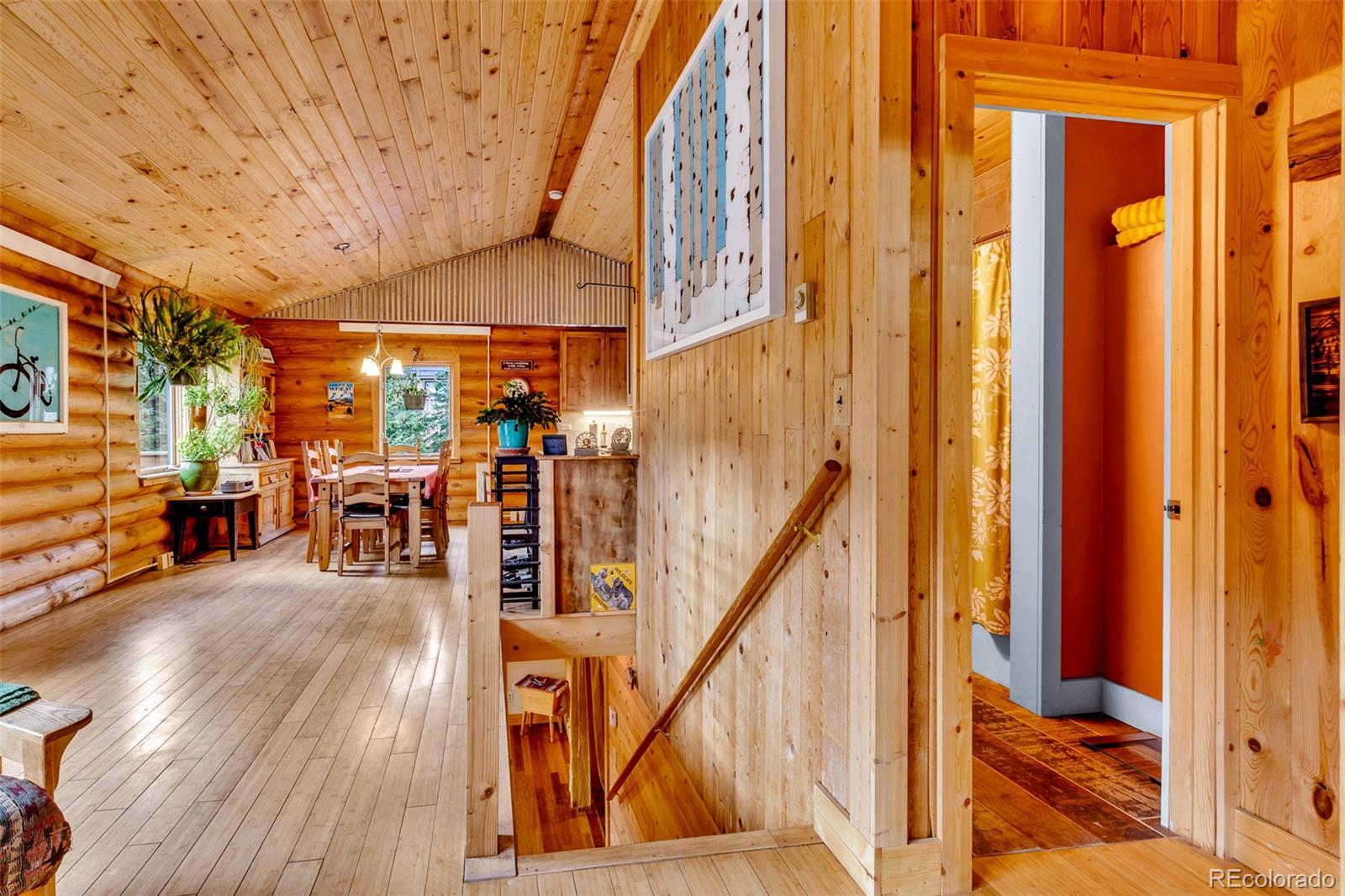 MLS Image #31 for 2246  county road 4 ,alma, Colorado