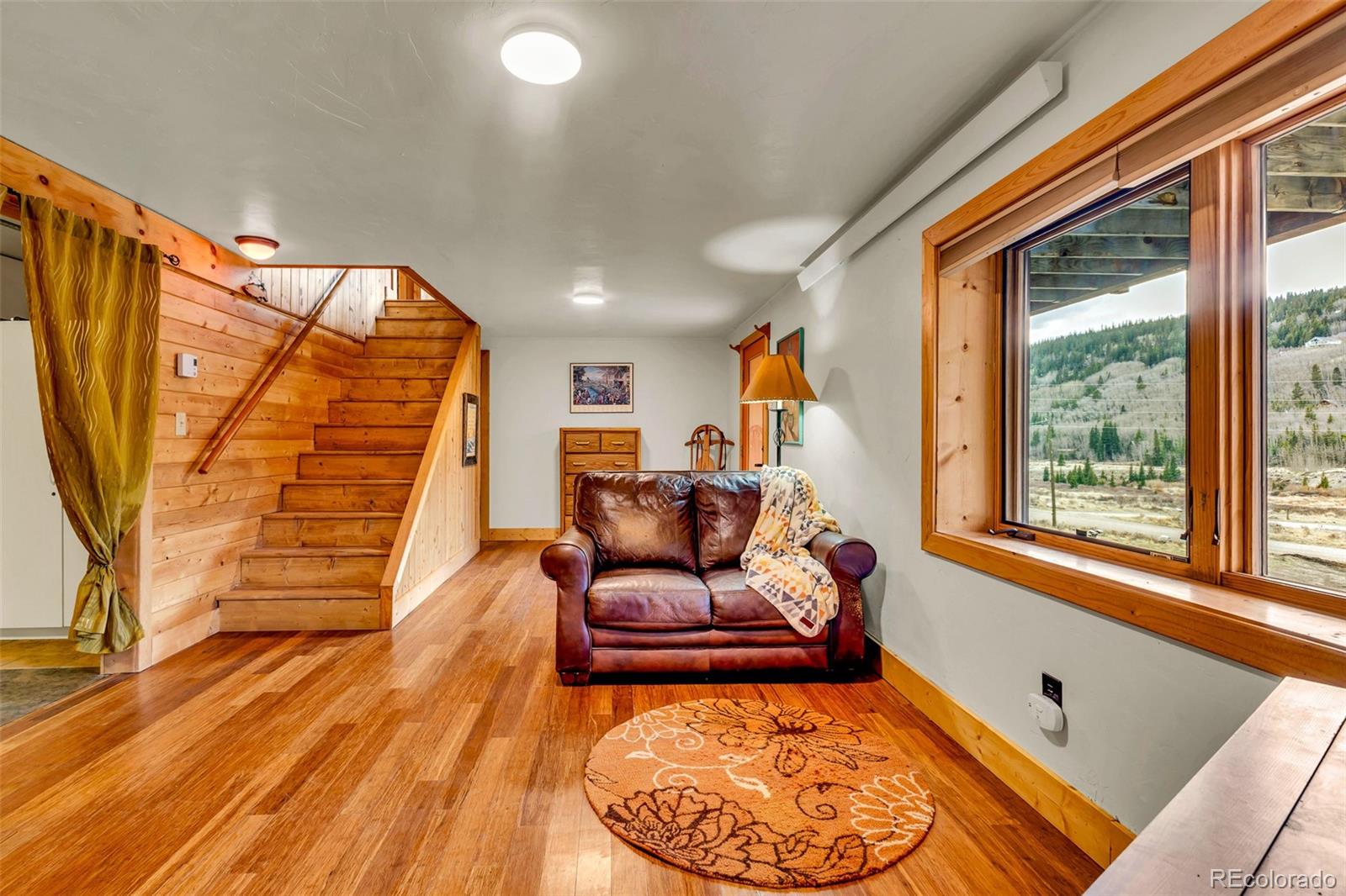 MLS Image #34 for 2246  county road 4 ,alma, Colorado