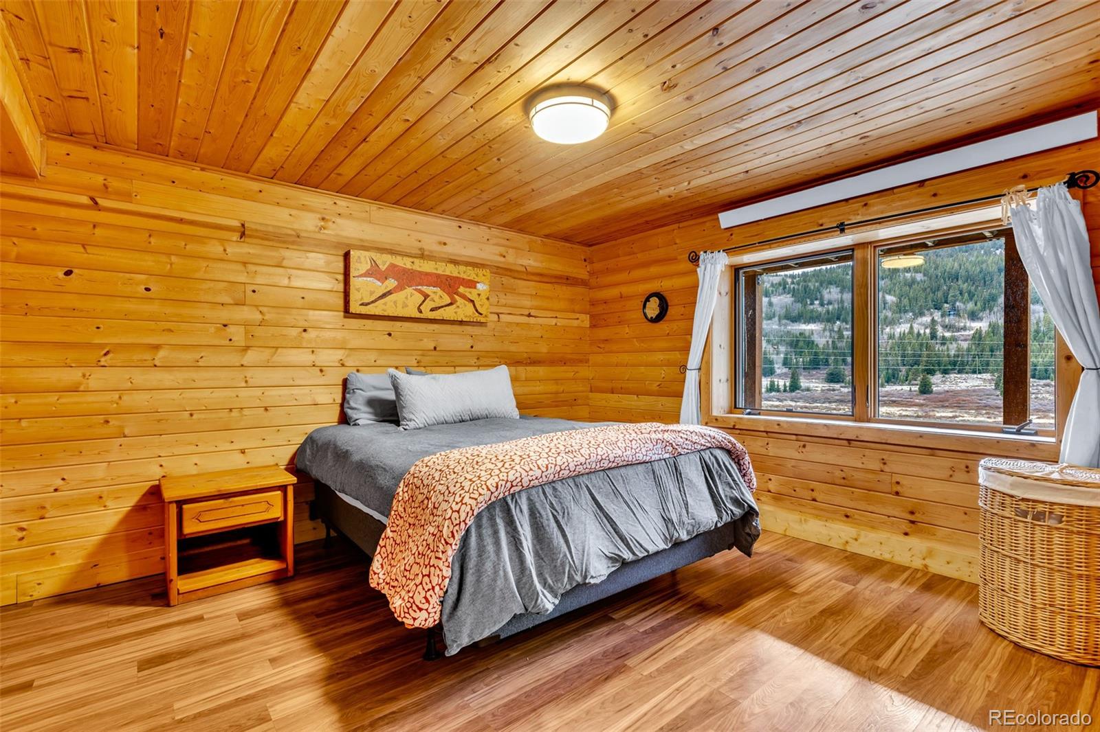 MLS Image #36 for 2246  county road 4 ,alma, Colorado