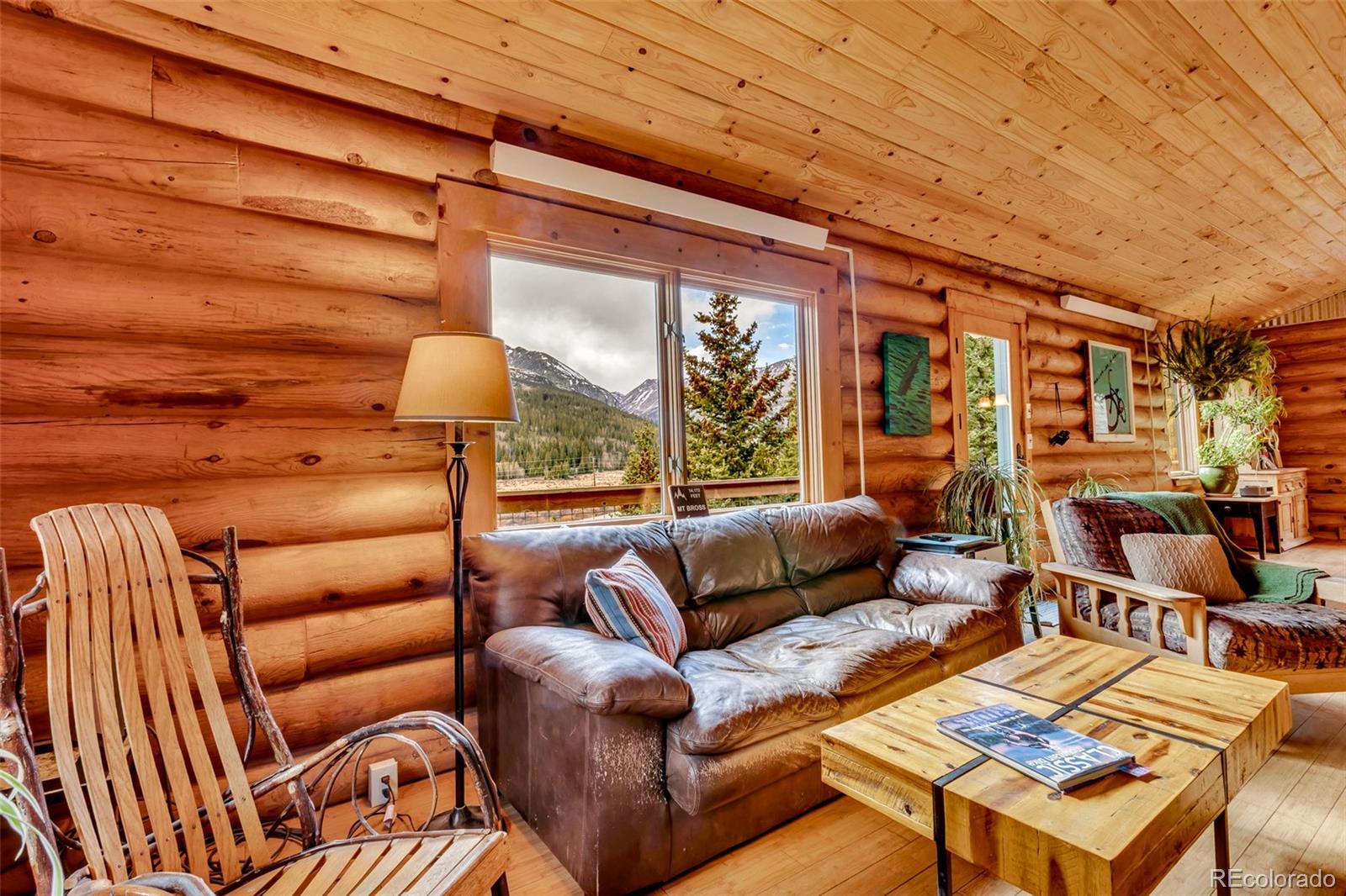 MLS Image #4 for 2246  county road 4 ,alma, Colorado