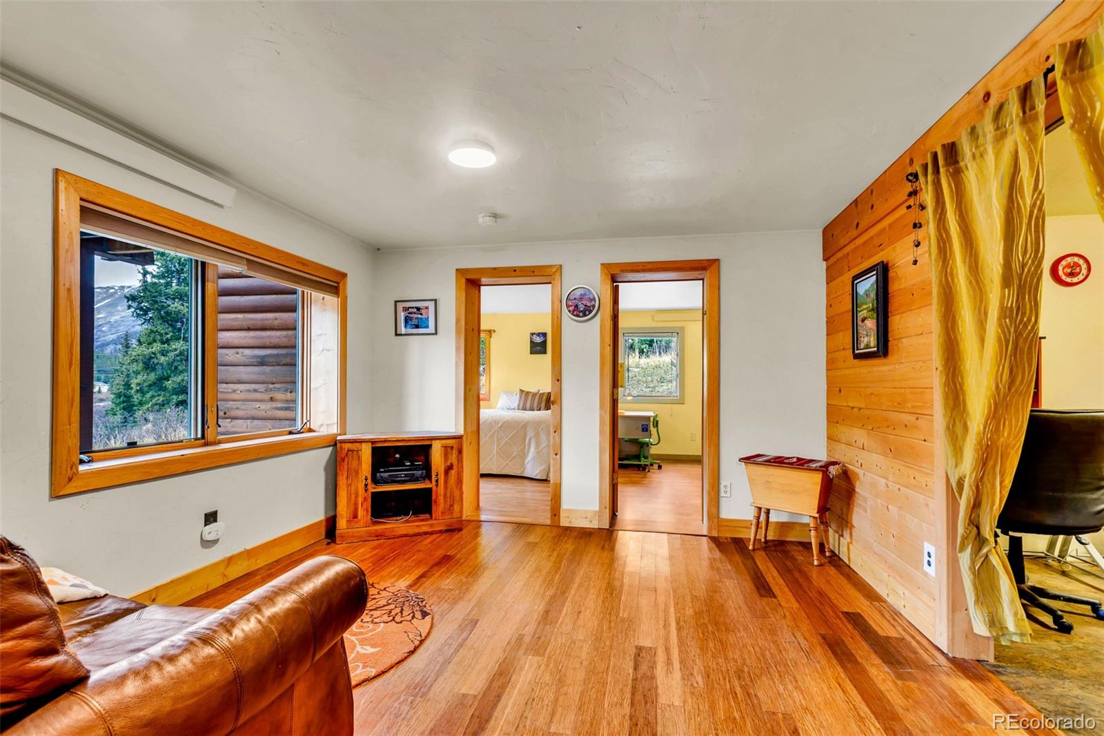 MLS Image #42 for 2246  county road 4 ,alma, Colorado