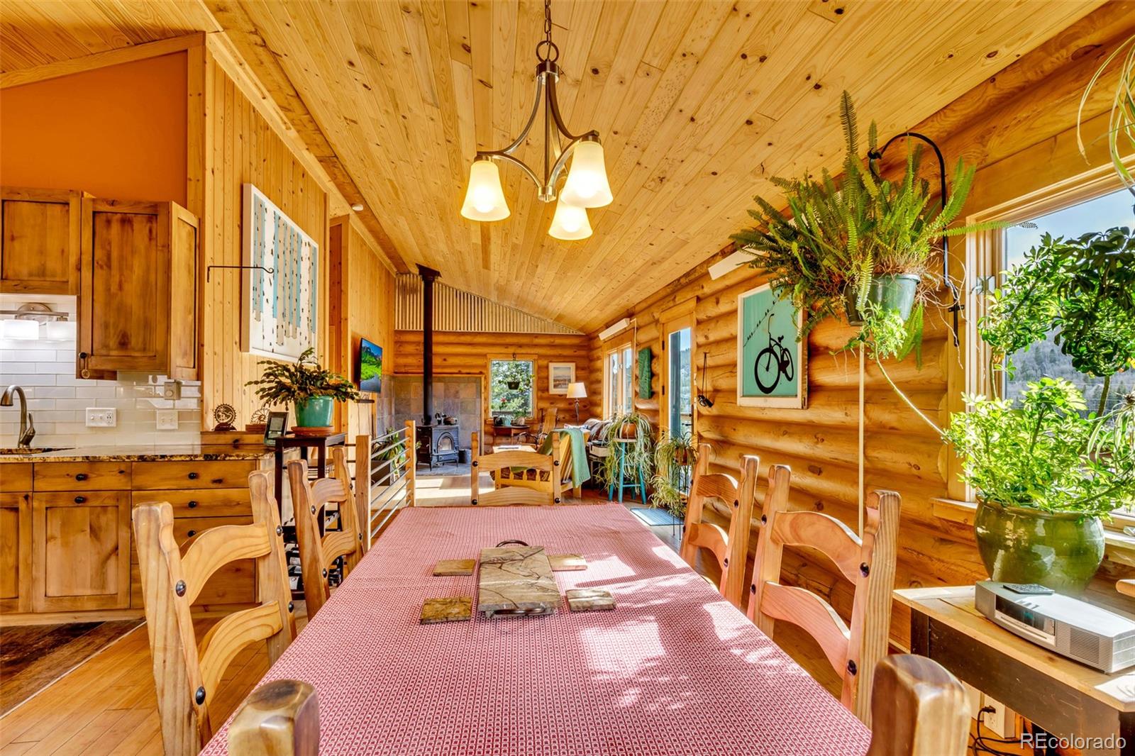 MLS Image #7 for 2246  county road 4 ,alma, Colorado