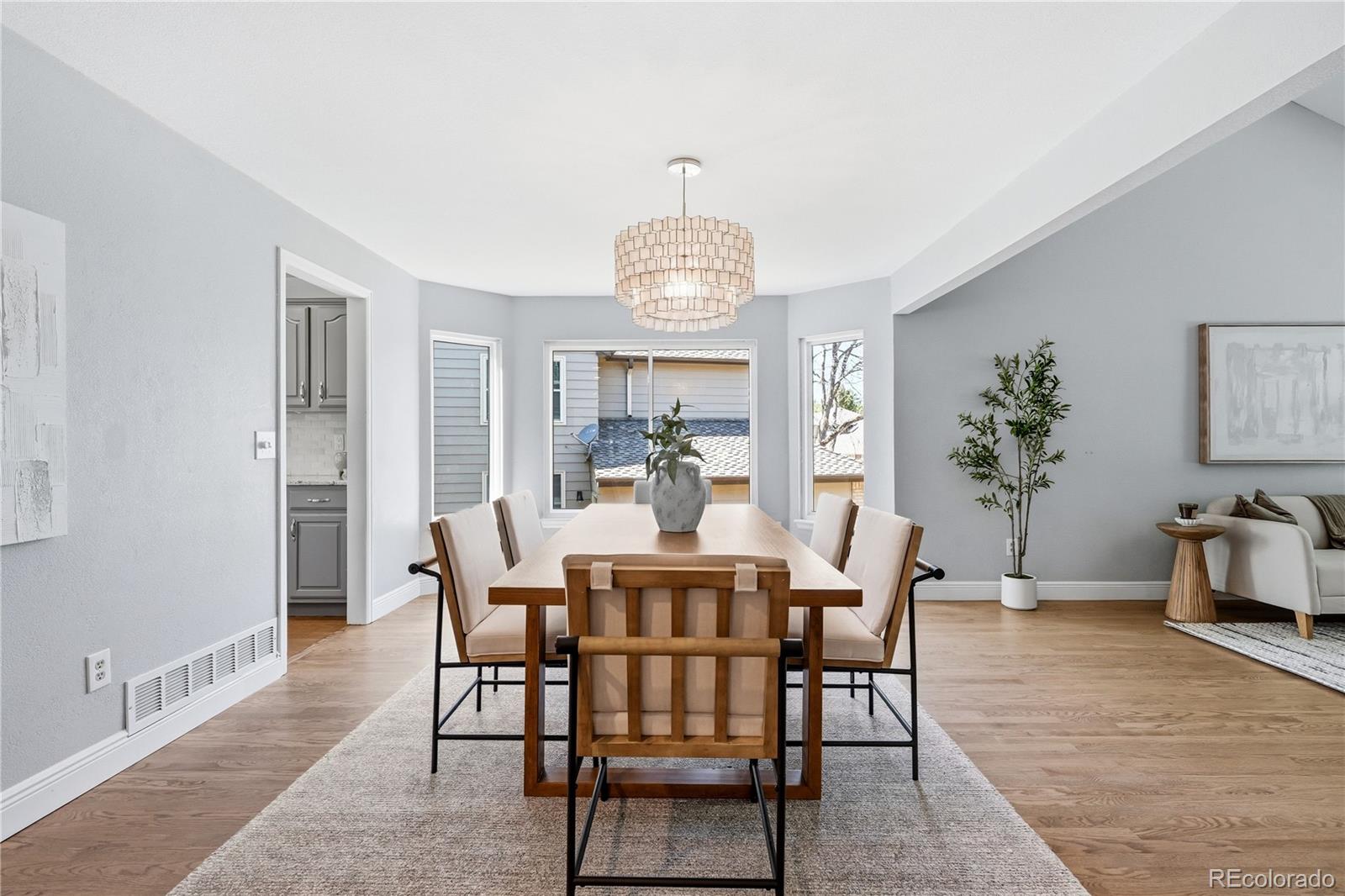 MLS Image #12 for 8927  green meadows lane,highlands ranch, Colorado