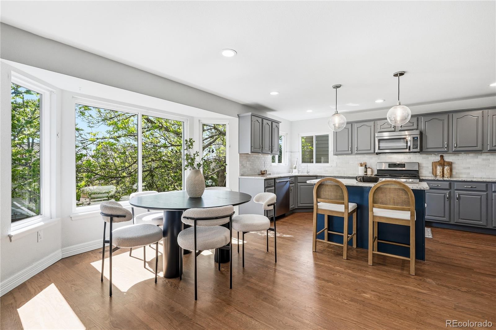 MLS Image #14 for 8927  green meadows lane,highlands ranch, Colorado