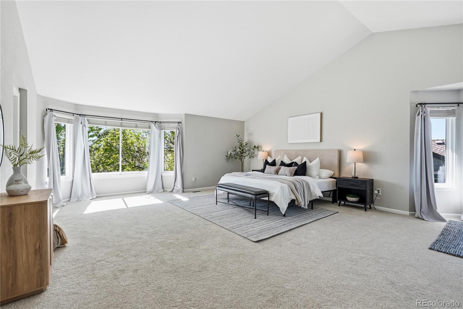 MLS Image #28 for 8927  green meadows lane,highlands ranch, Colorado