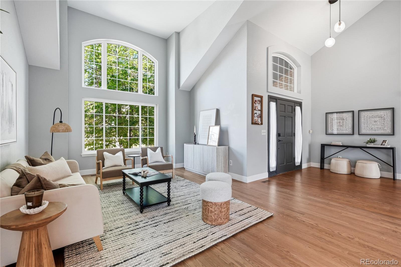 MLS Image #7 for 8927  green meadows lane,highlands ranch, Colorado