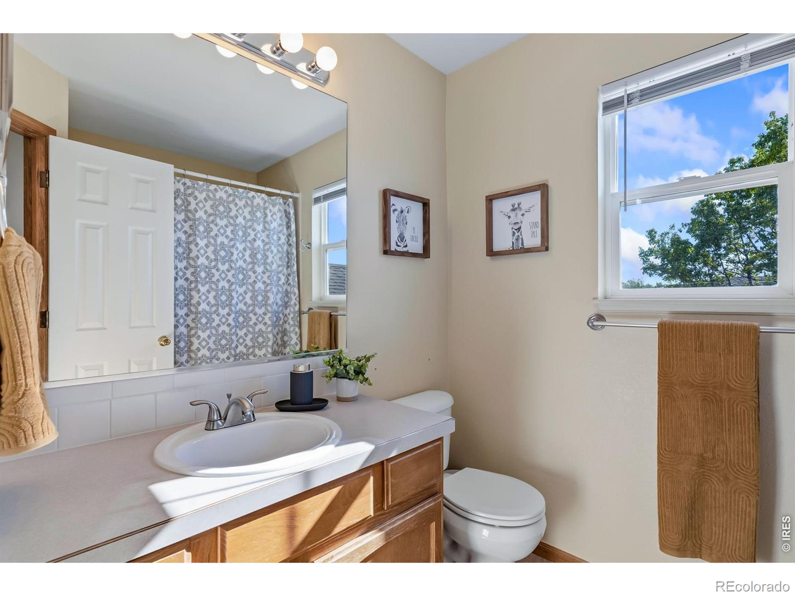 MLS Image #16 for 3450  adams court,wellington, Colorado