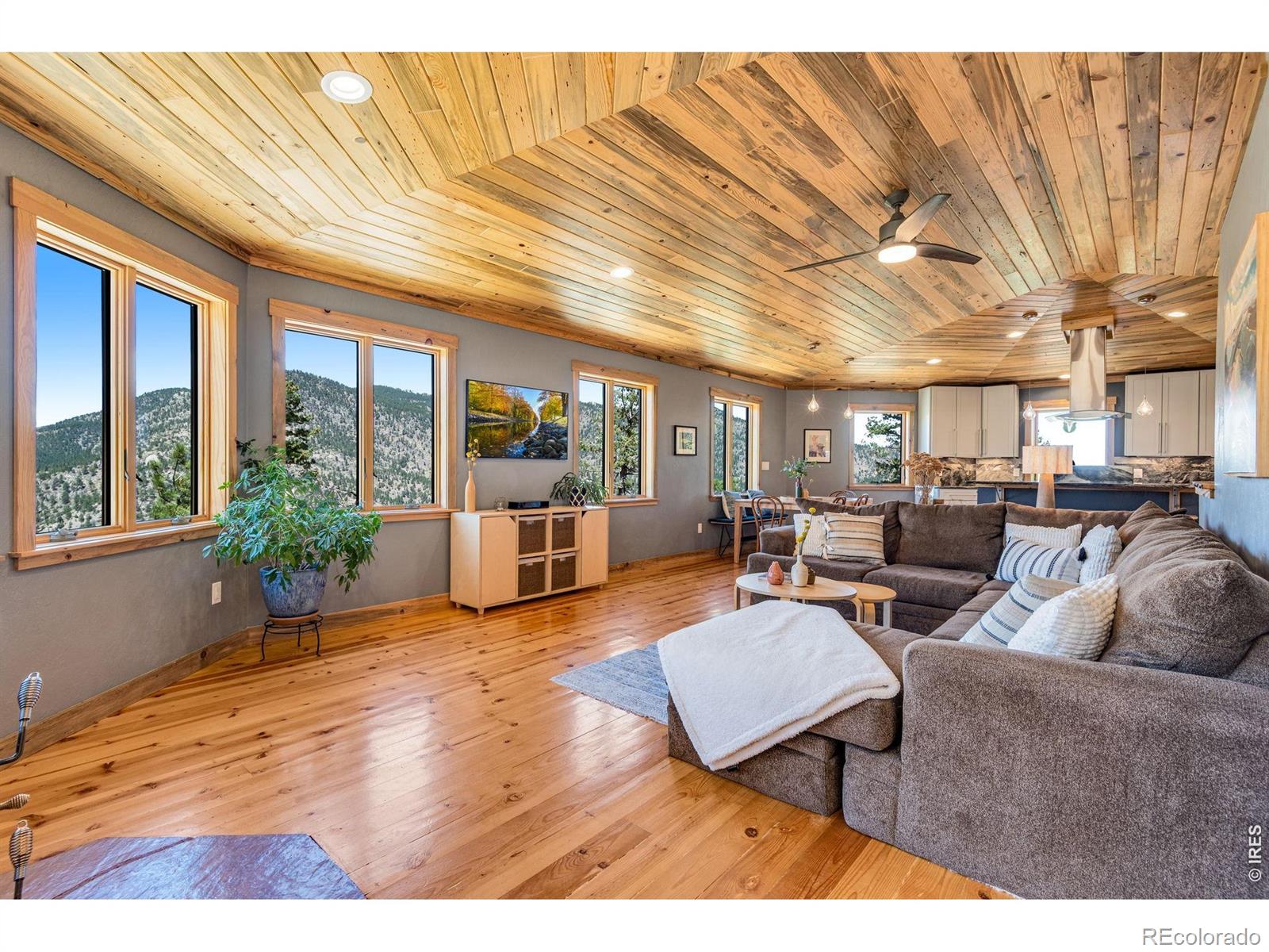 MLS Image #12 for 80  lookout drive,lyons, Colorado