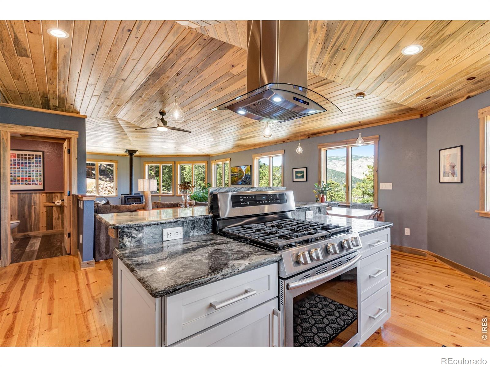 MLS Image #9 for 80  lookout drive,lyons, Colorado