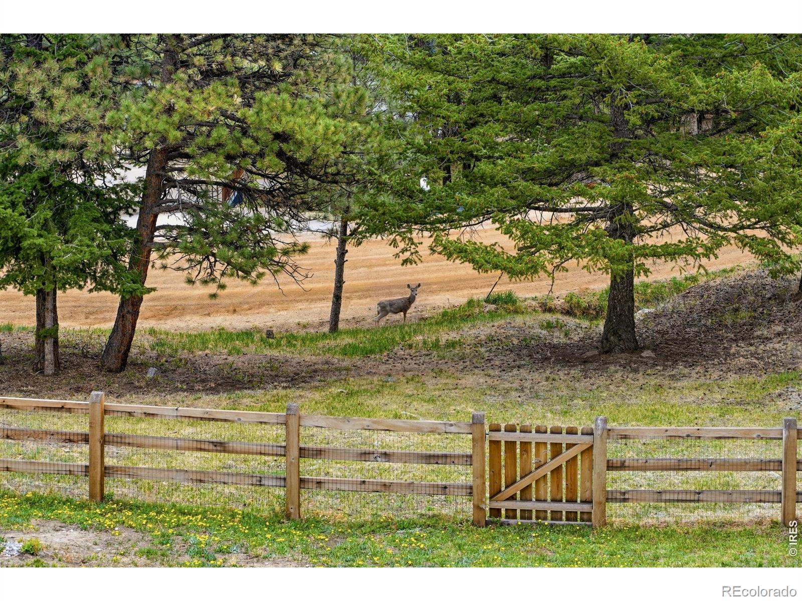 MLS Image #44 for 101  canon view road,boulder, Colorado