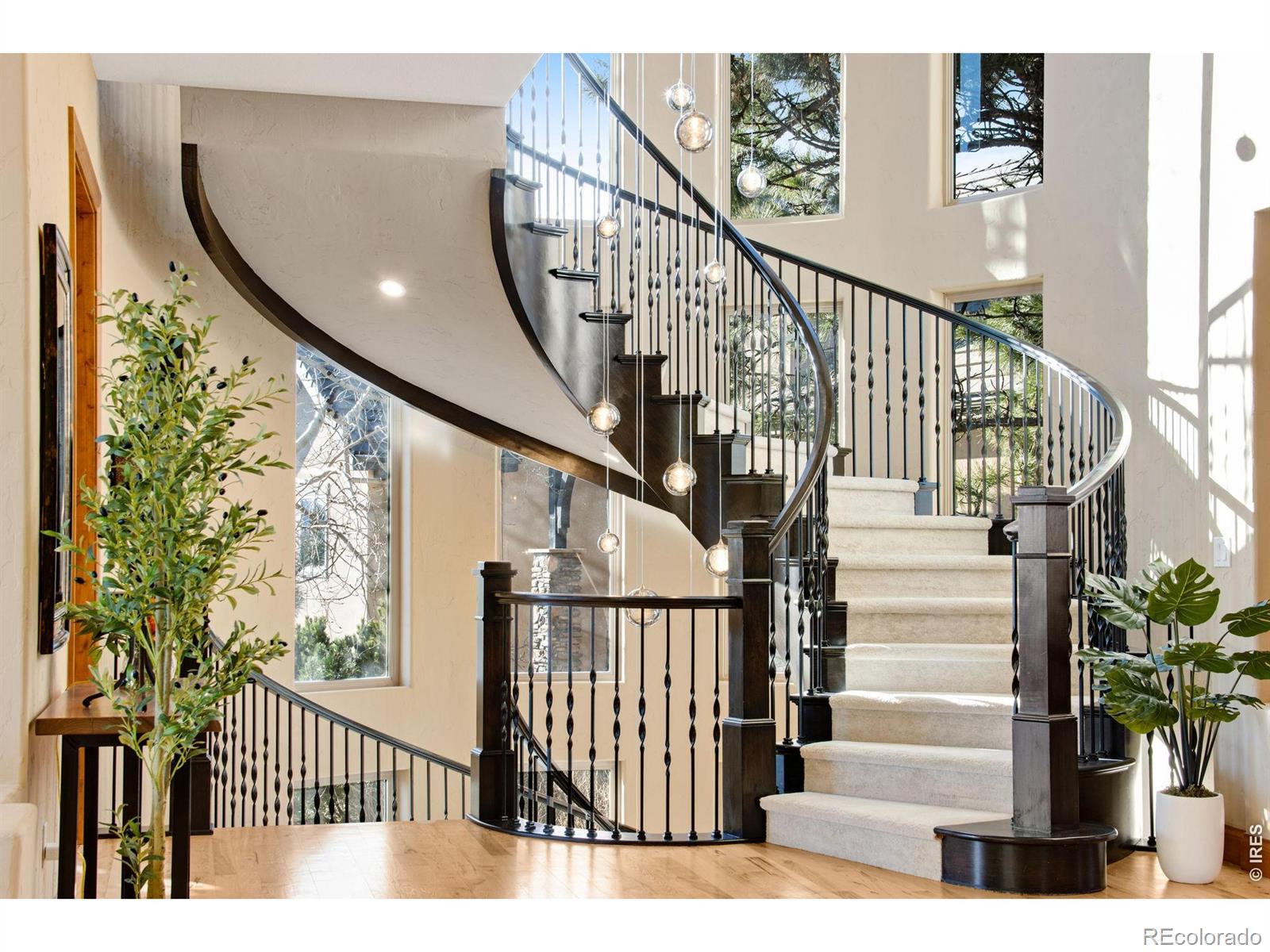 MLS Image #14 for 4433  tierra alta drive,castle rock, Colorado