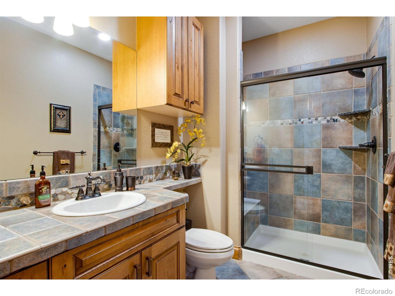 MLS Image #38 for 4433  tierra alta drive,castle rock, Colorado