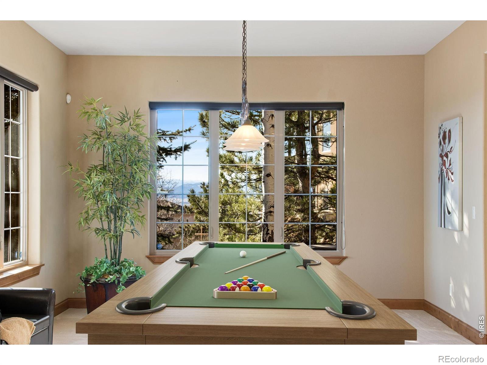 MLS Image #43 for 4433  tierra alta drive,castle rock, Colorado