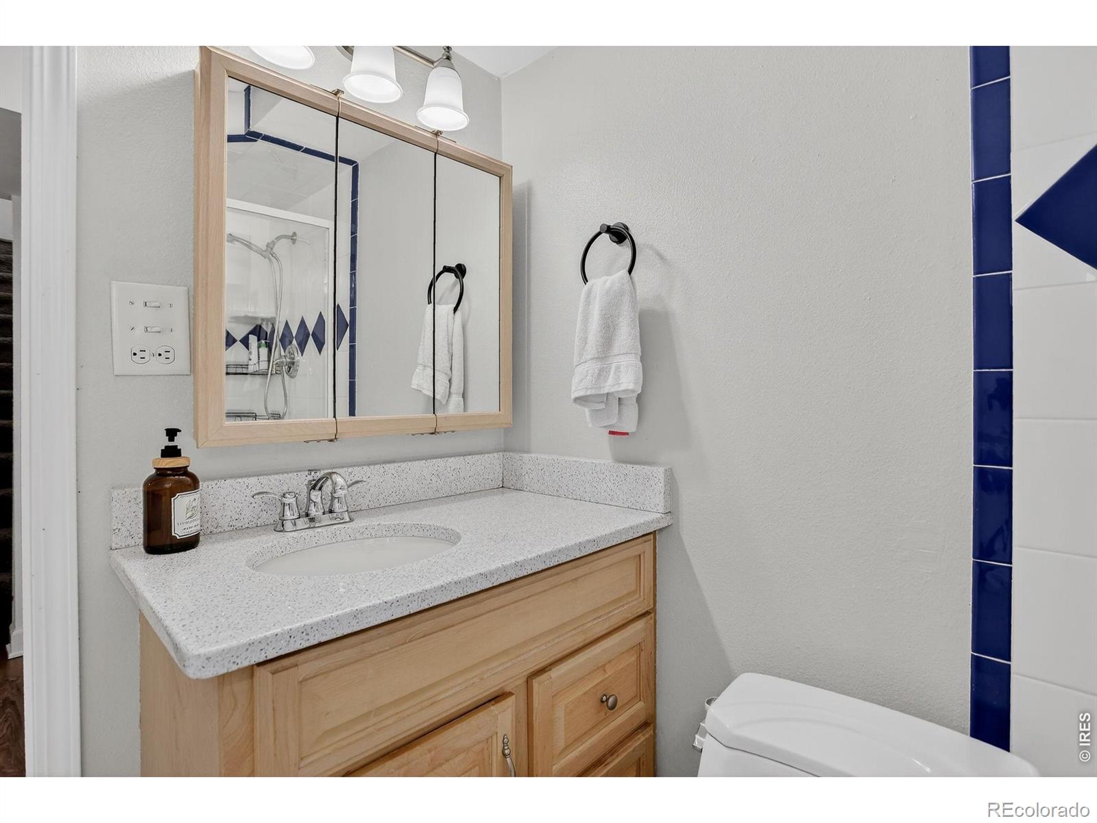 MLS Image #26 for 1027  cottonwood drive,windsor, Colorado