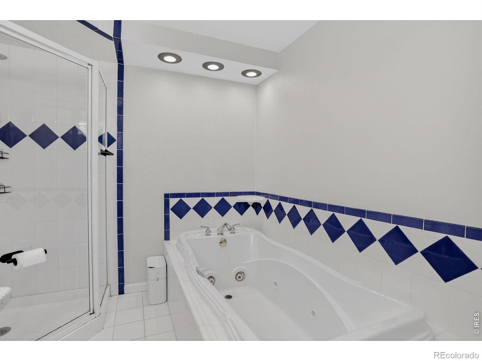 MLS Image #27 for 1027  cottonwood drive,windsor, Colorado
