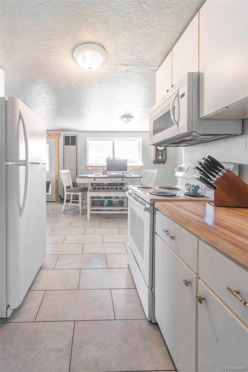 MLS Image #11 for 68  sleepy grass court,fairplay, Colorado