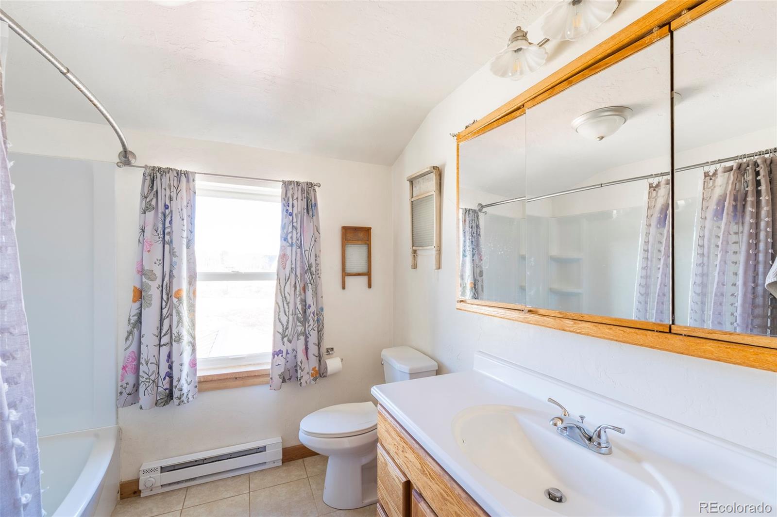 MLS Image #17 for 68  sleepy grass court,fairplay, Colorado