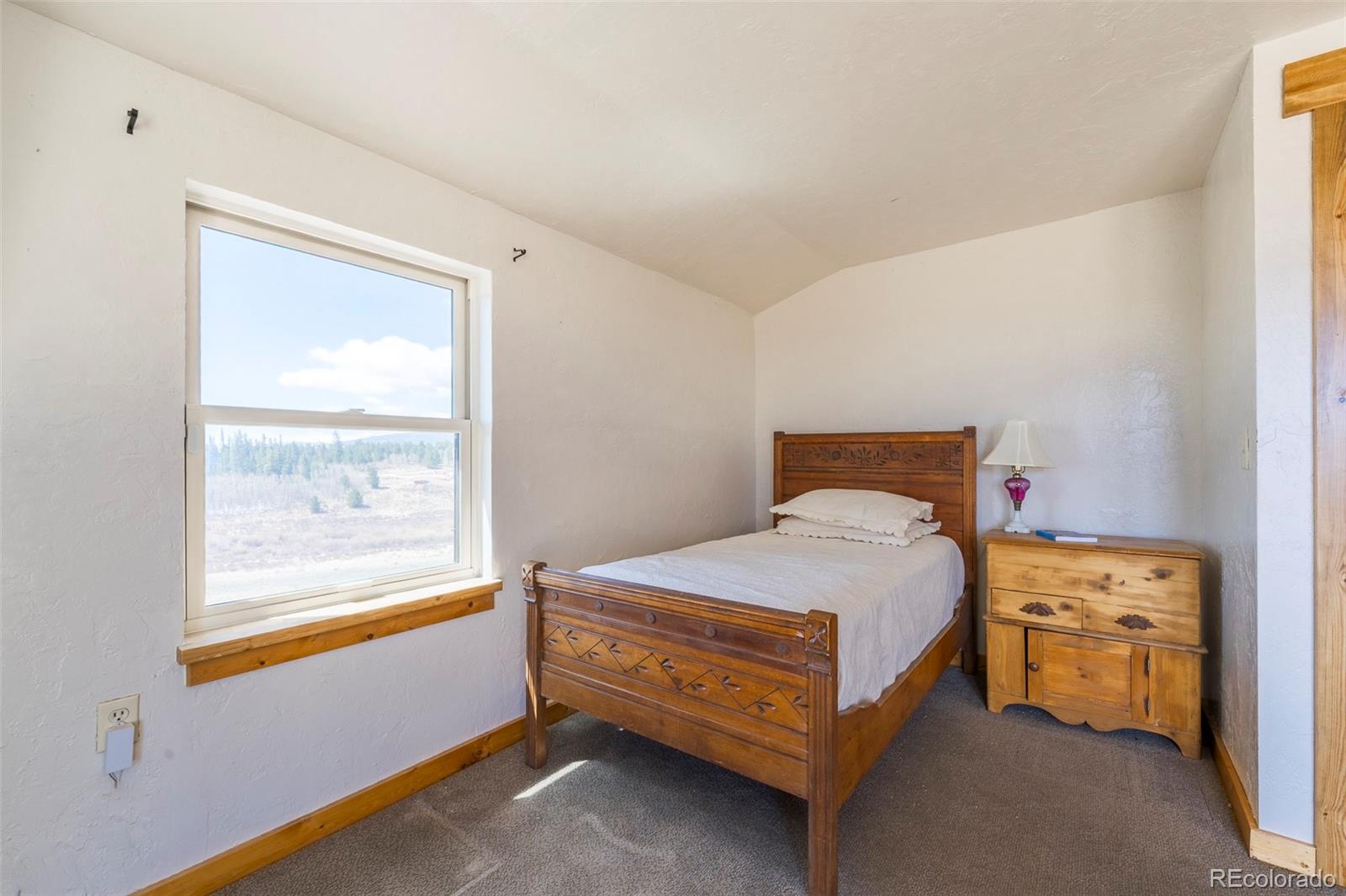 MLS Image #19 for 68  sleepy grass court,fairplay, Colorado