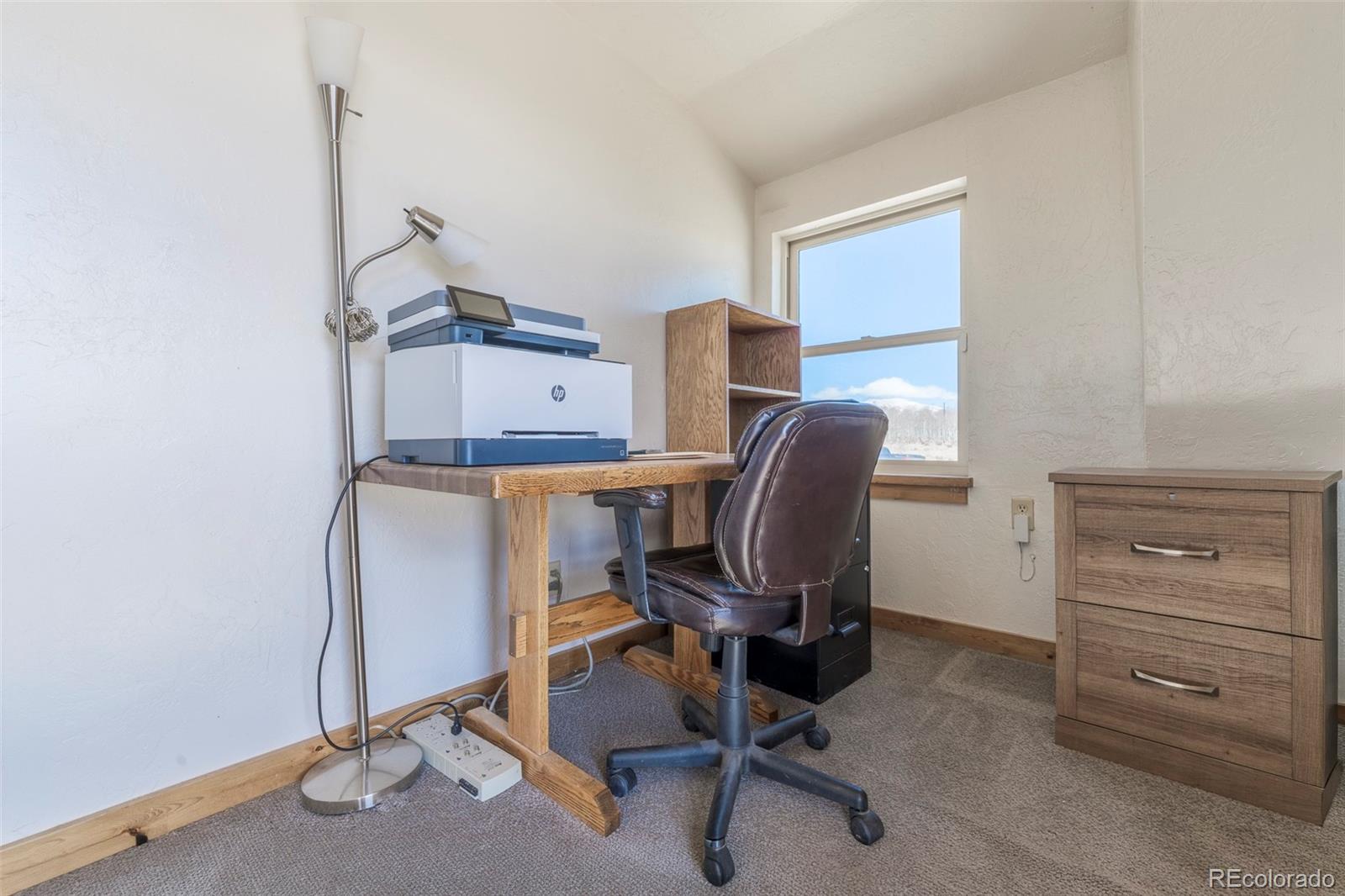 MLS Image #22 for 68  sleepy grass court,fairplay, Colorado