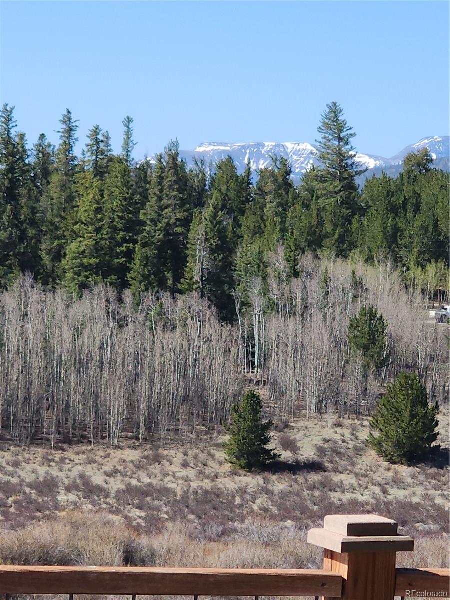 MLS Image #4 for 68  sleepy grass court,fairplay, Colorado
