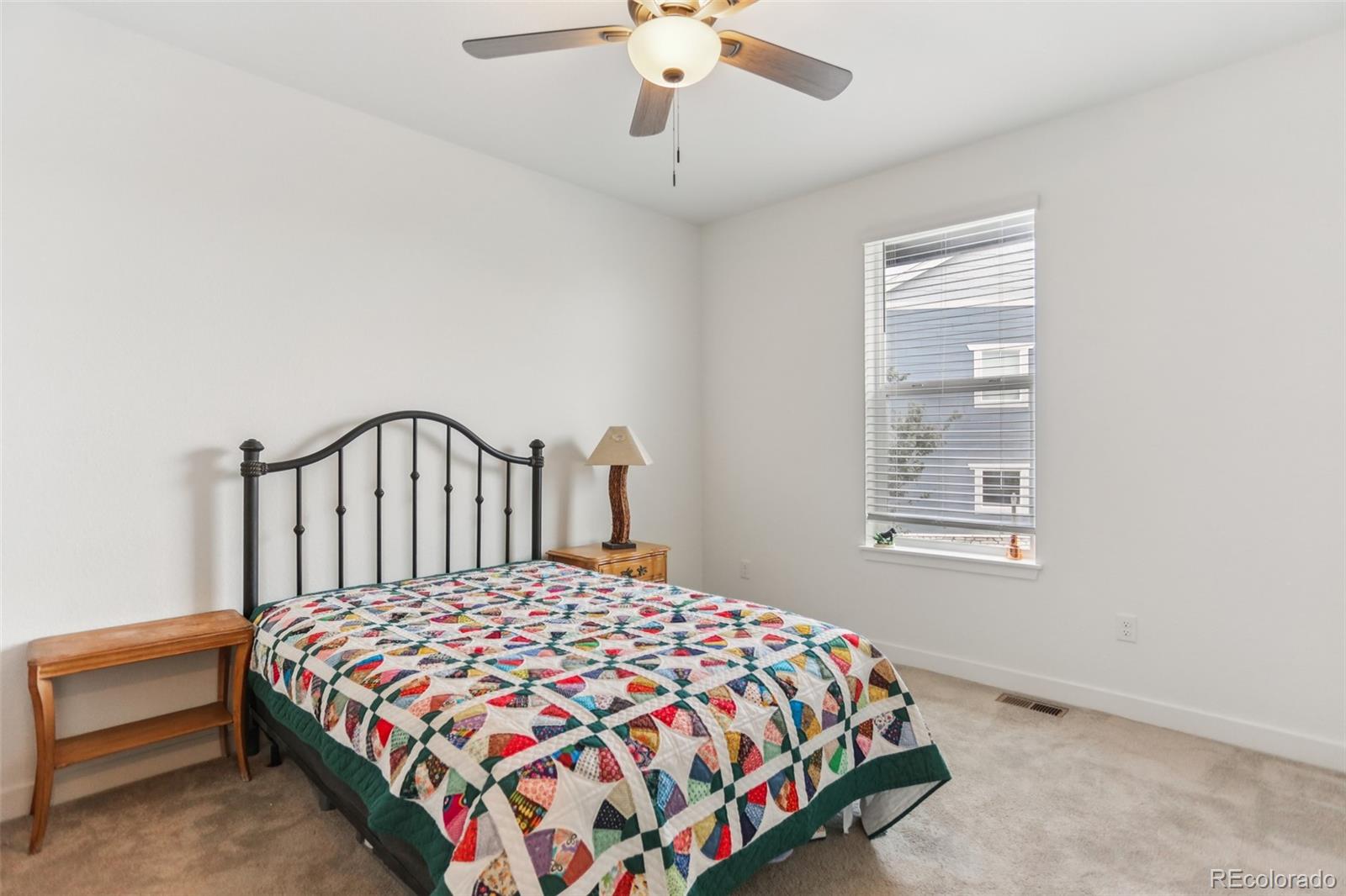 MLS Image #19 for 8115  mount kataka street,littleton, Colorado