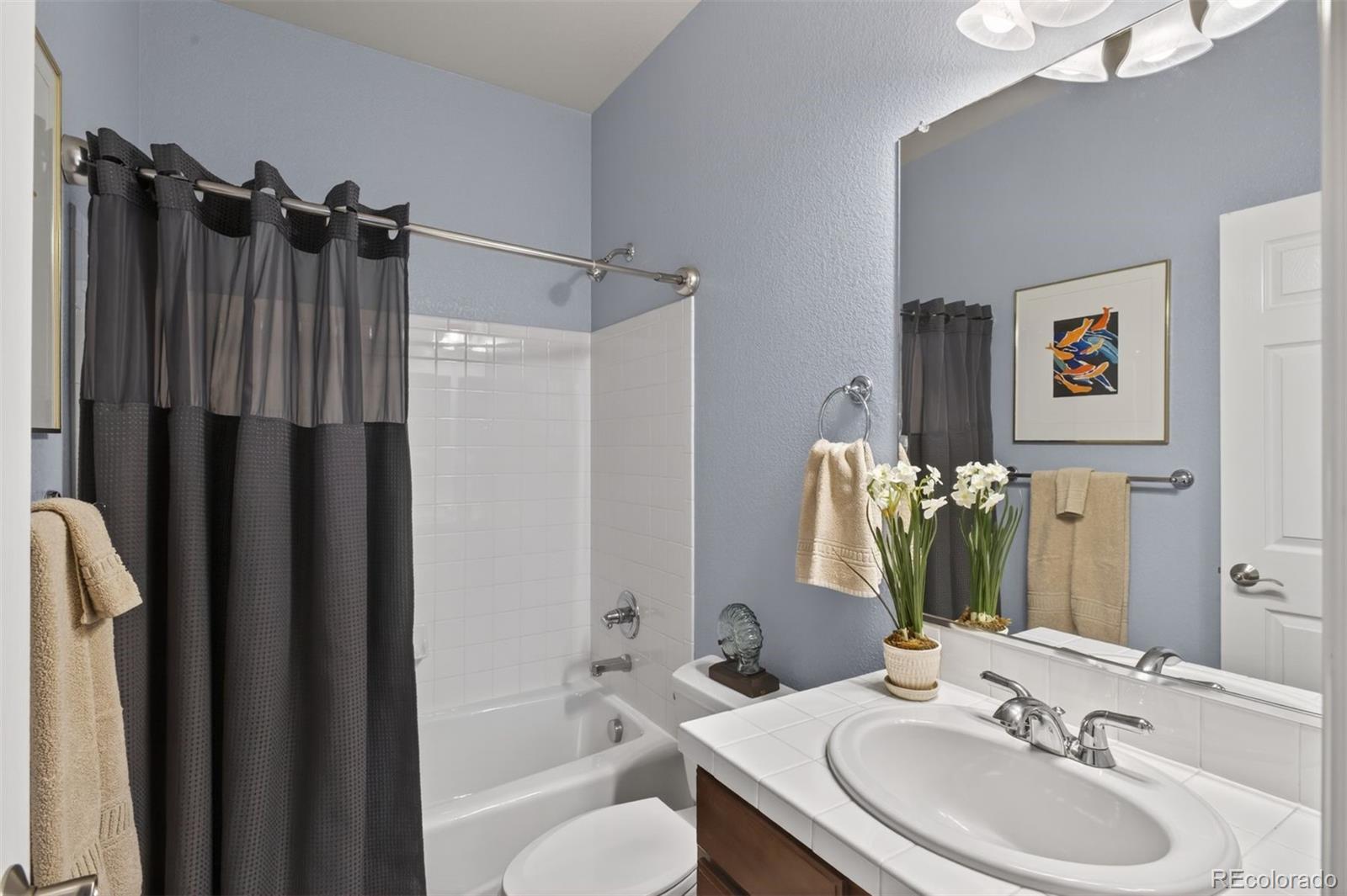 MLS Image #27 for 6257  oxford peak court,castle rock, Colorado