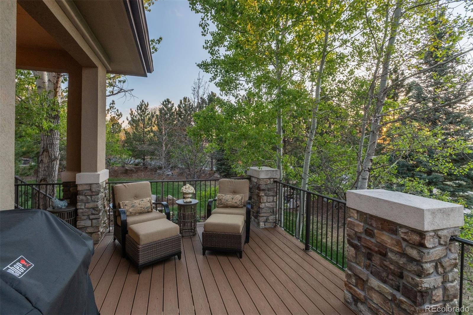 MLS Image #9 for 6257  oxford peak court,castle rock, Colorado