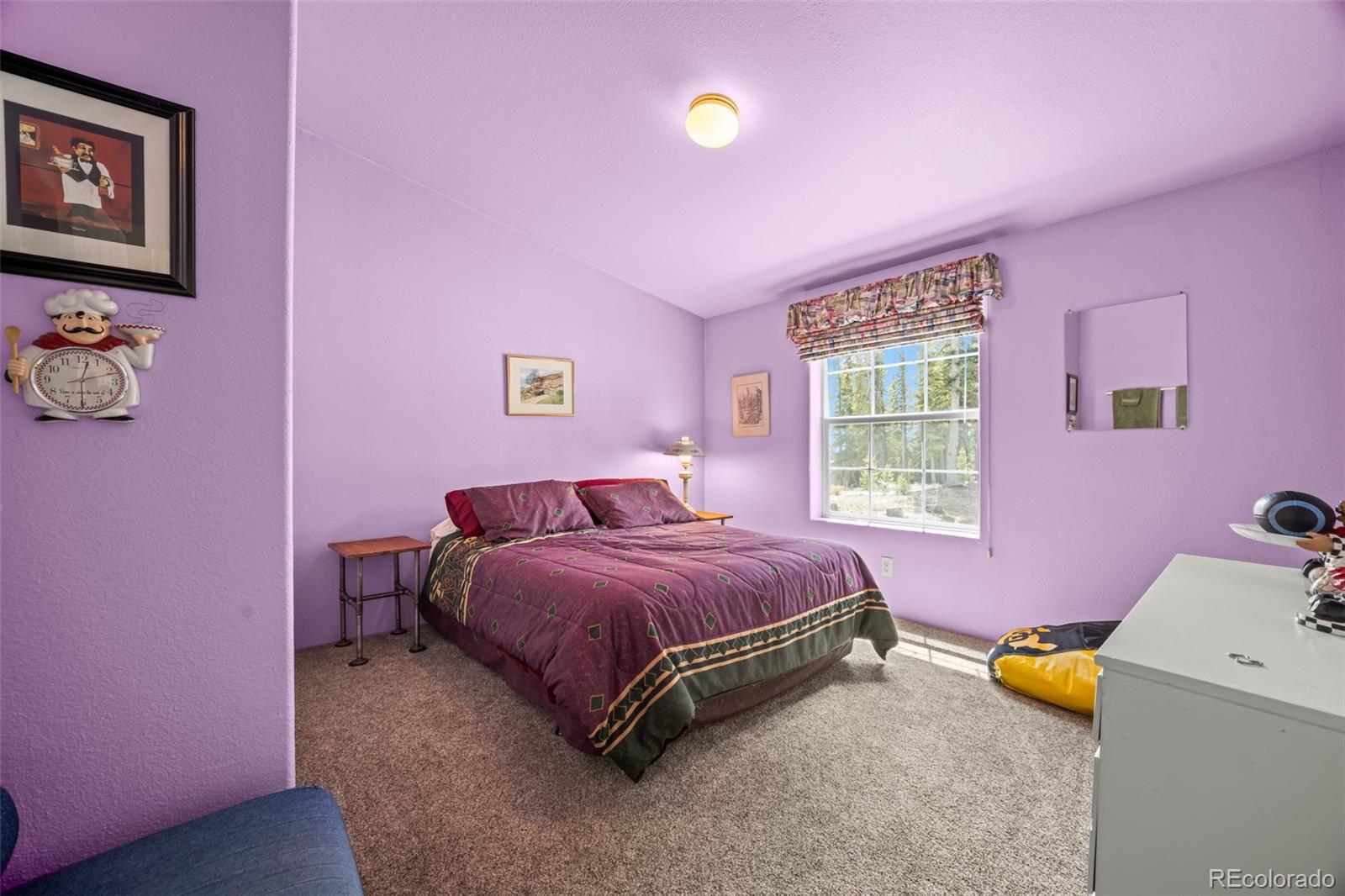 MLS Image #17 for 37  mountain view drive,fairplay, Colorado