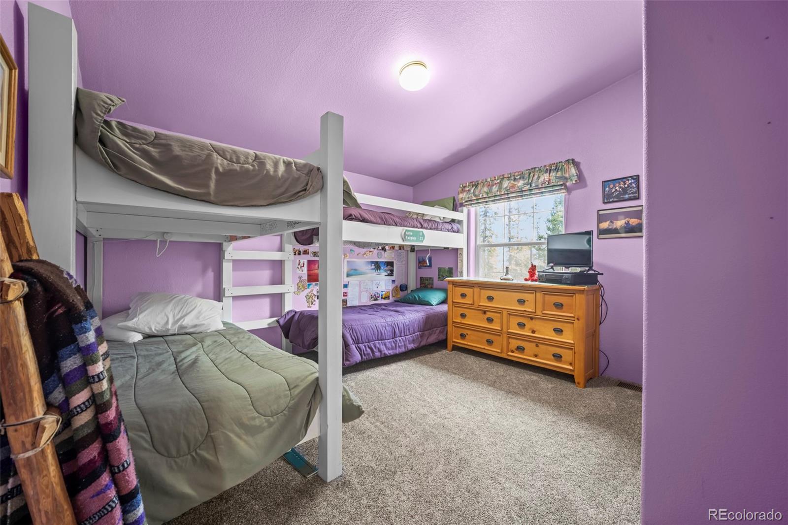 MLS Image #20 for 37  mountain view drive,fairplay, Colorado