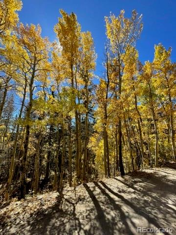MLS Image #29 for 37  mountain view drive,fairplay, Colorado