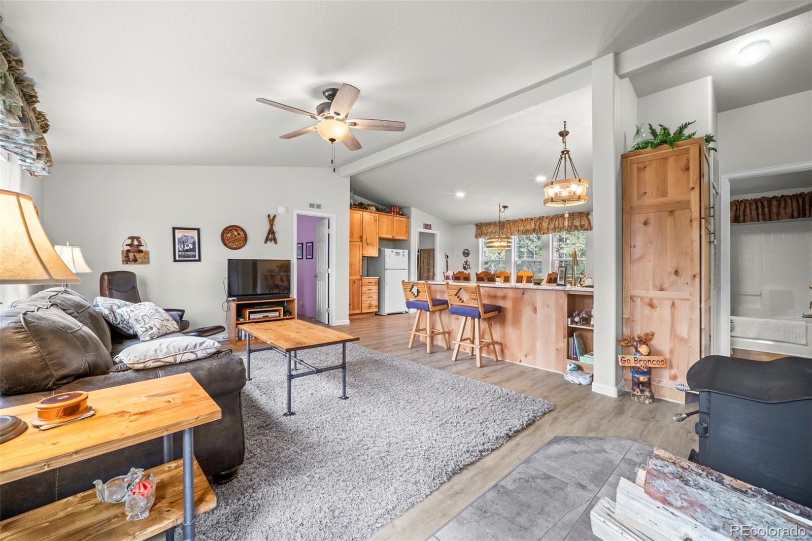 MLS Image #3 for 37  mountain view drive,fairplay, Colorado
