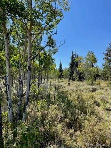 MLS Image #31 for 37  mountain view drive,fairplay, Colorado
