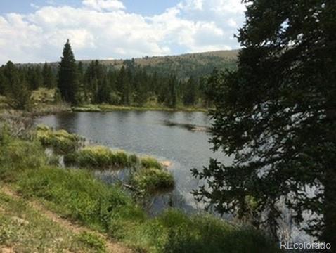 MLS Image #32 for 37  mountain view drive,fairplay, Colorado