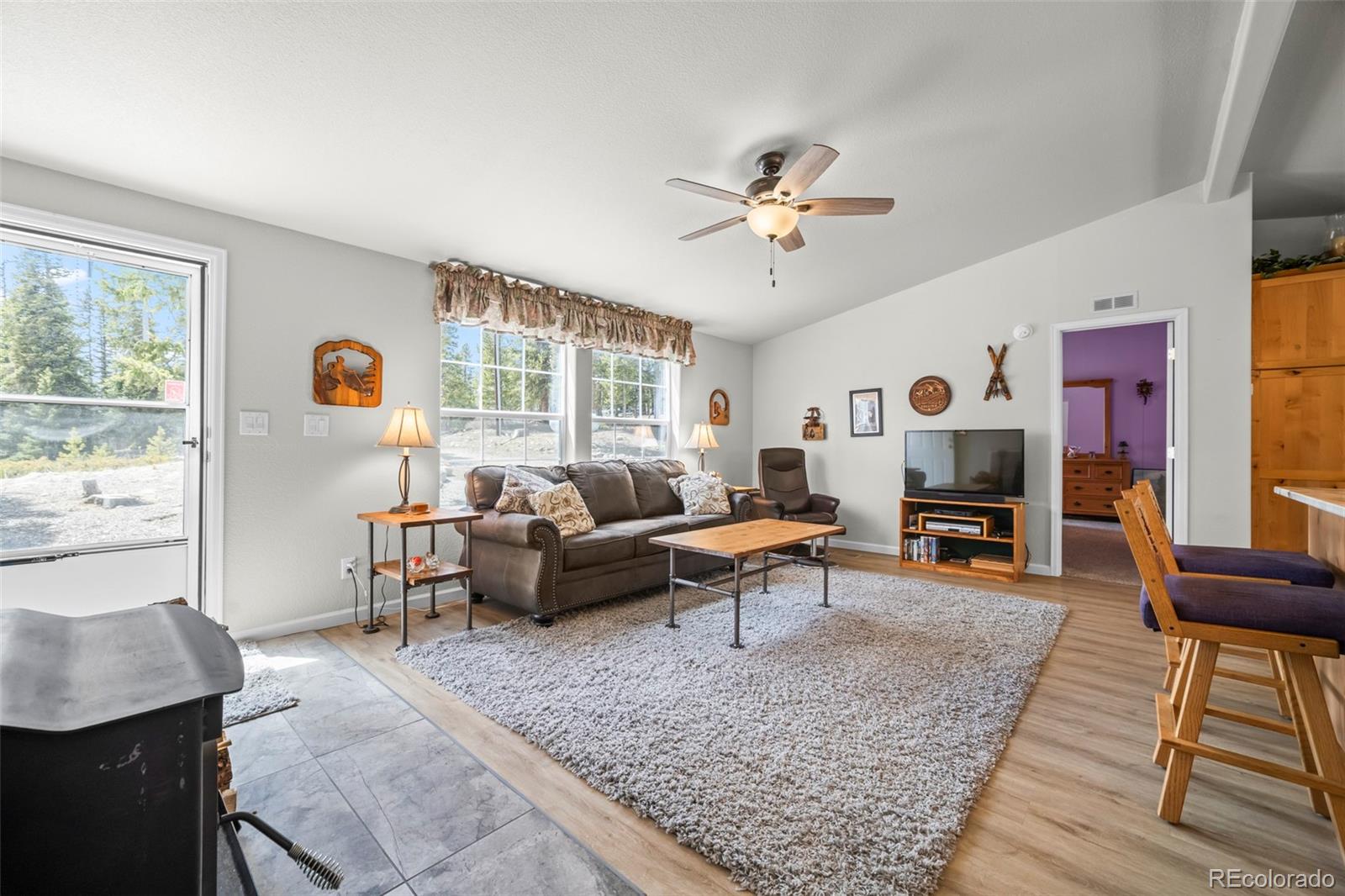 MLS Image #4 for 37  mountain view drive,fairplay, Colorado