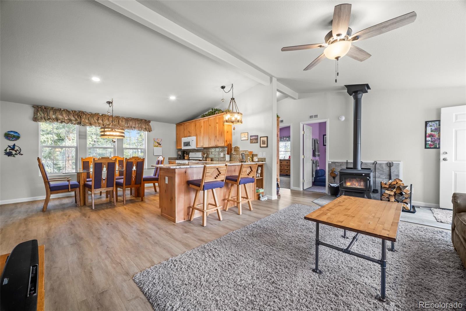 MLS Image #5 for 37  mountain view drive,fairplay, Colorado