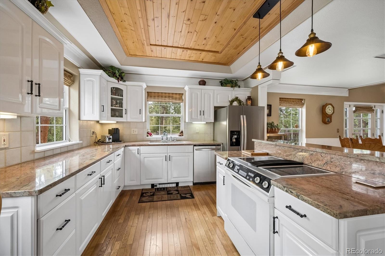 MLS Image #10 for 410  spring drive,pine, Colorado