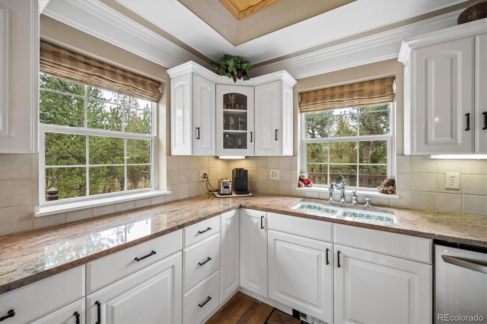 MLS Image #11 for 410  spring drive,pine, Colorado