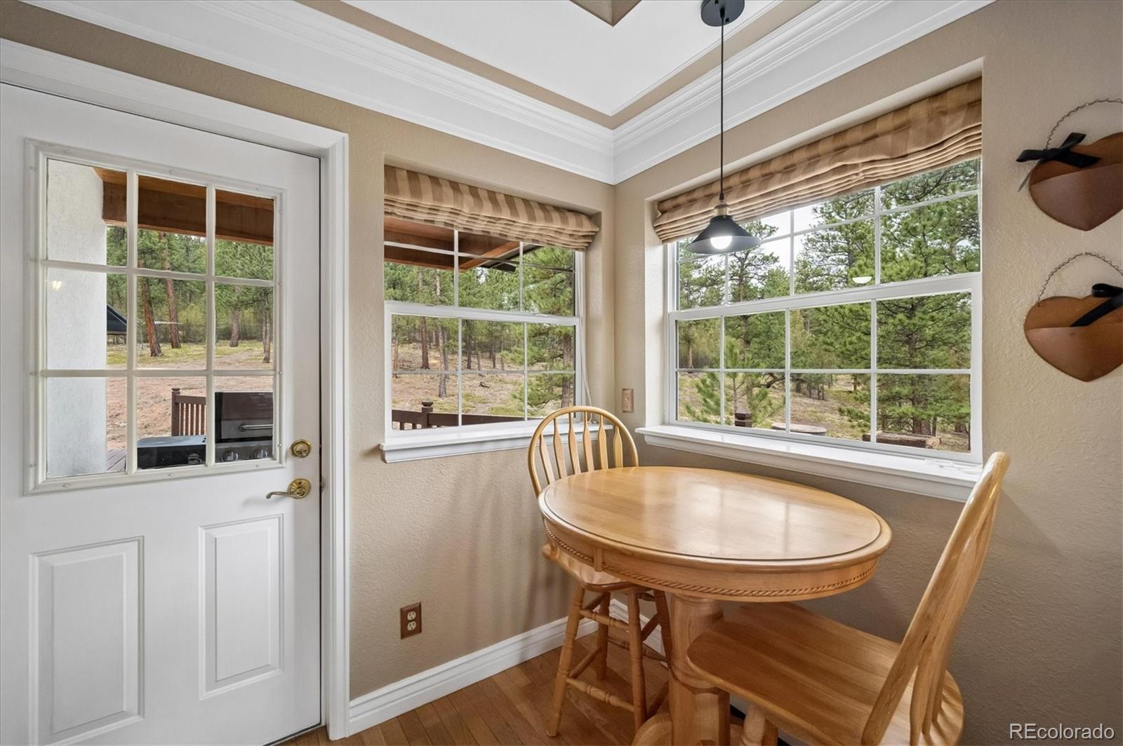 MLS Image #12 for 410  spring drive,pine, Colorado