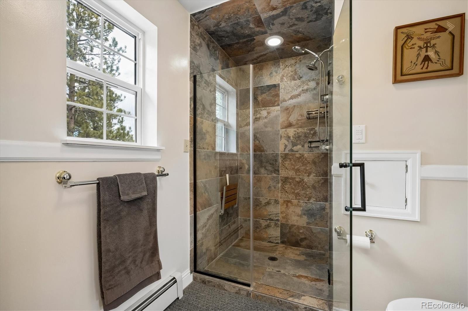MLS Image #24 for 410  spring drive,pine, Colorado