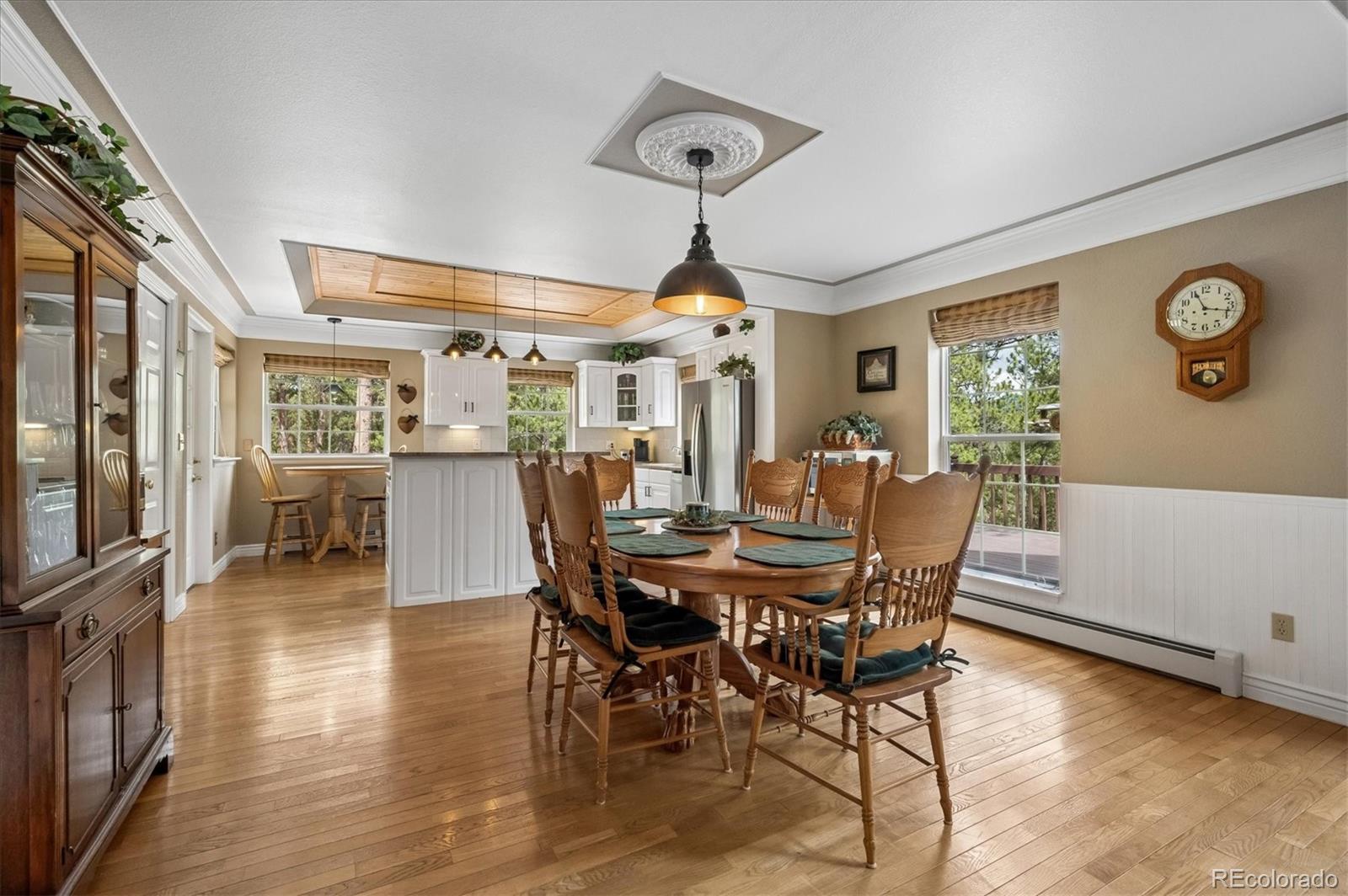 MLS Image #6 for 410  spring drive,pine, Colorado