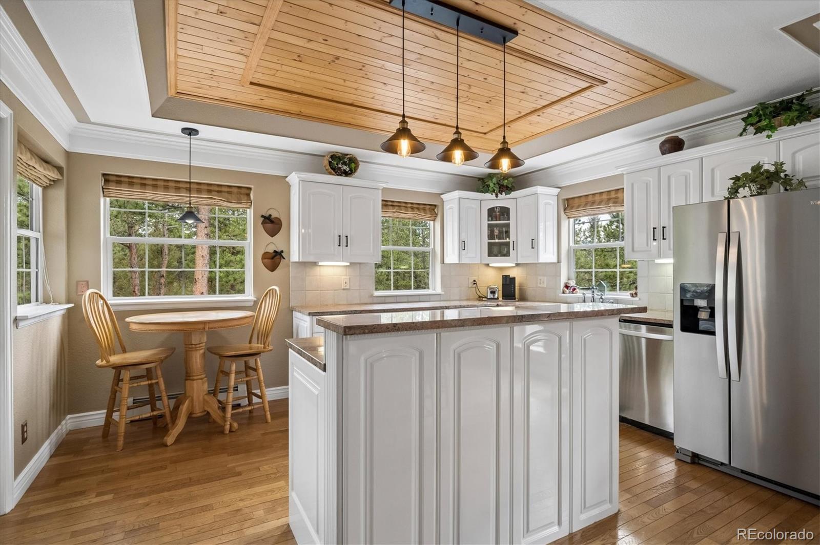 MLS Image #8 for 410  spring drive,pine, Colorado