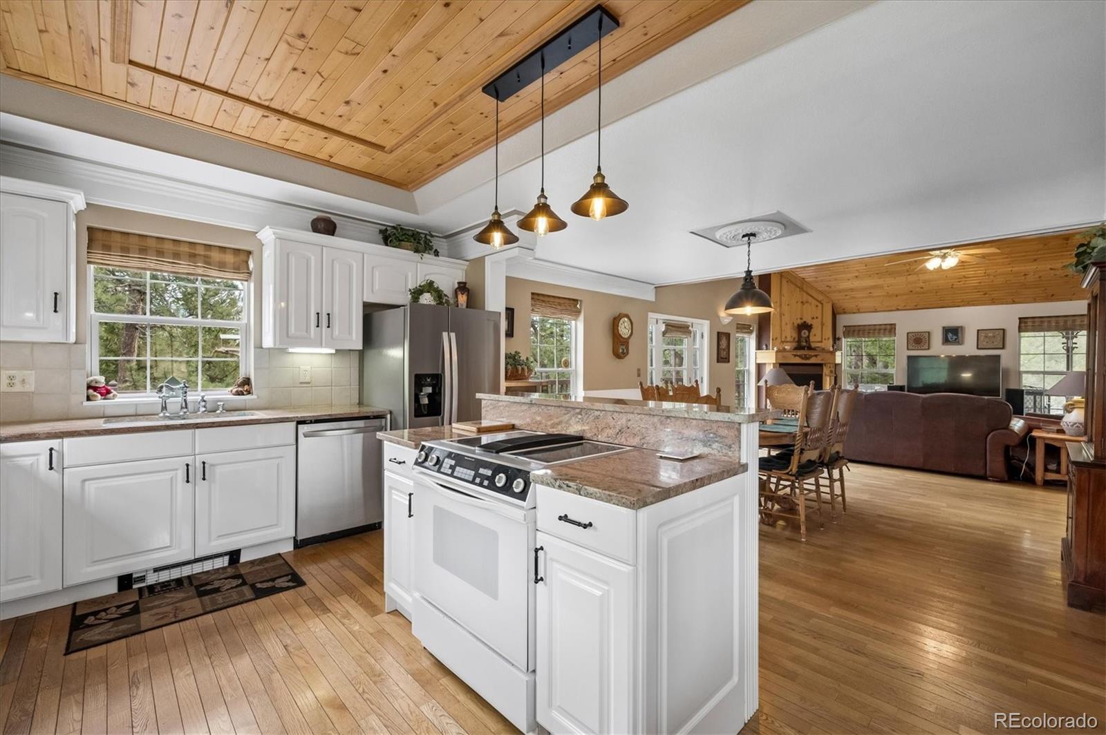MLS Image #9 for 410  spring drive,pine, Colorado