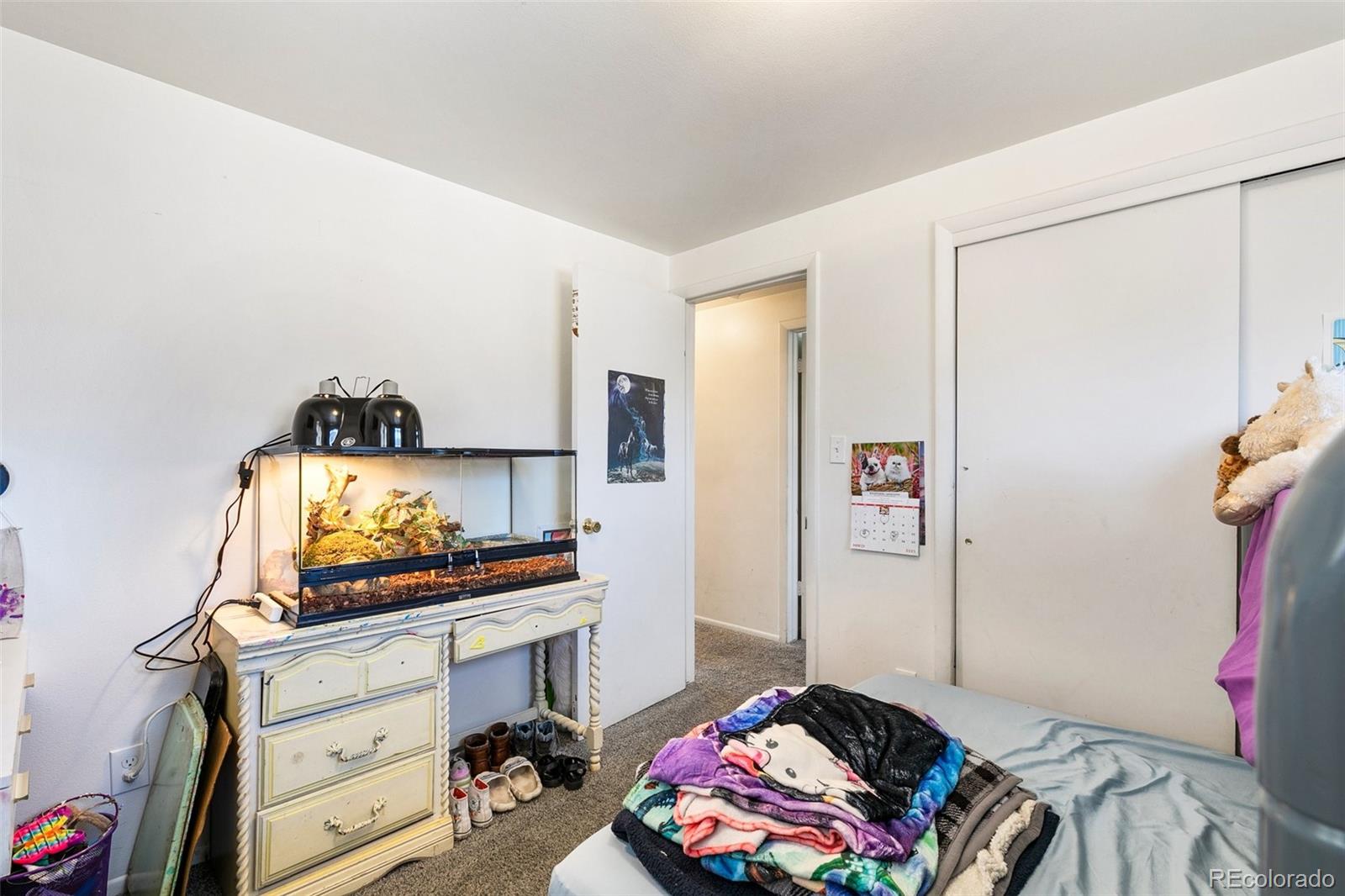 MLS Image #16 for 1512 e monument street,colorado springs, Colorado