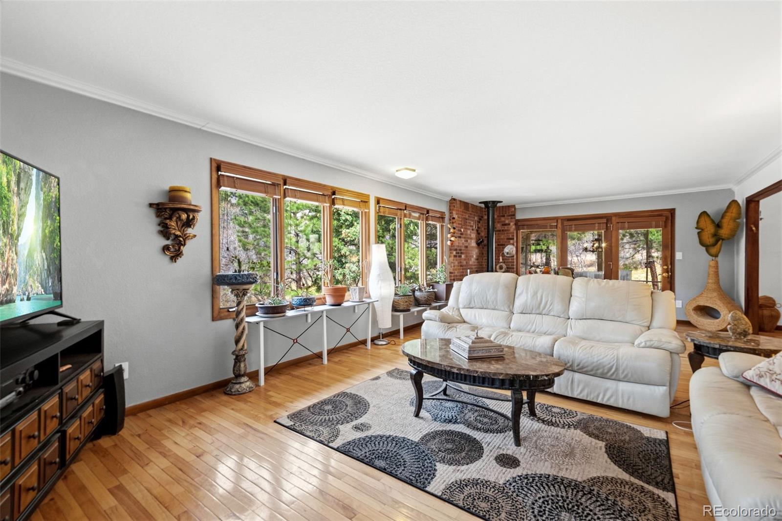 MLS Image #21 for 6323  pike circle,larkspur, Colorado