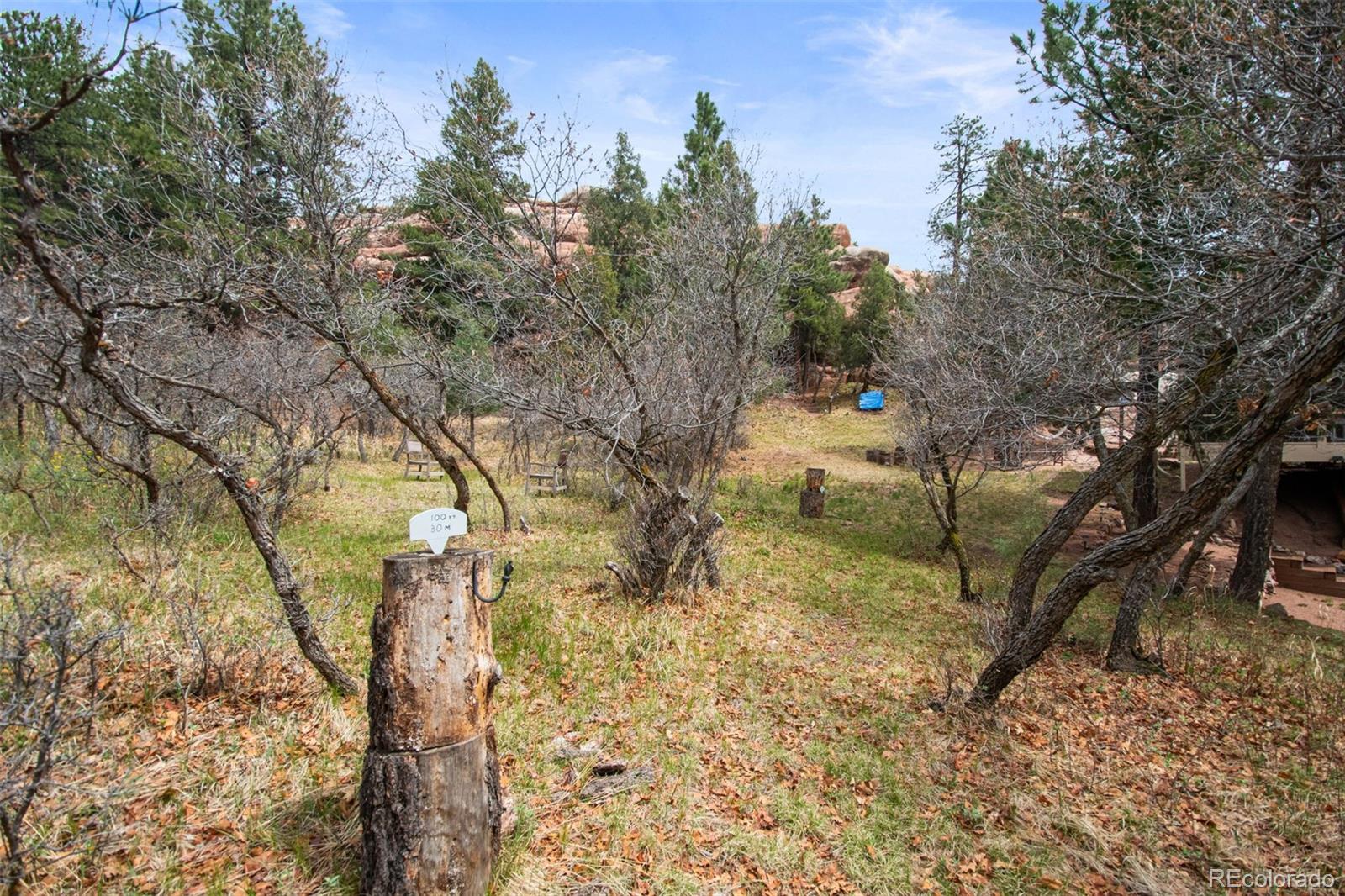 MLS Image #40 for 6323  pike circle,larkspur, Colorado