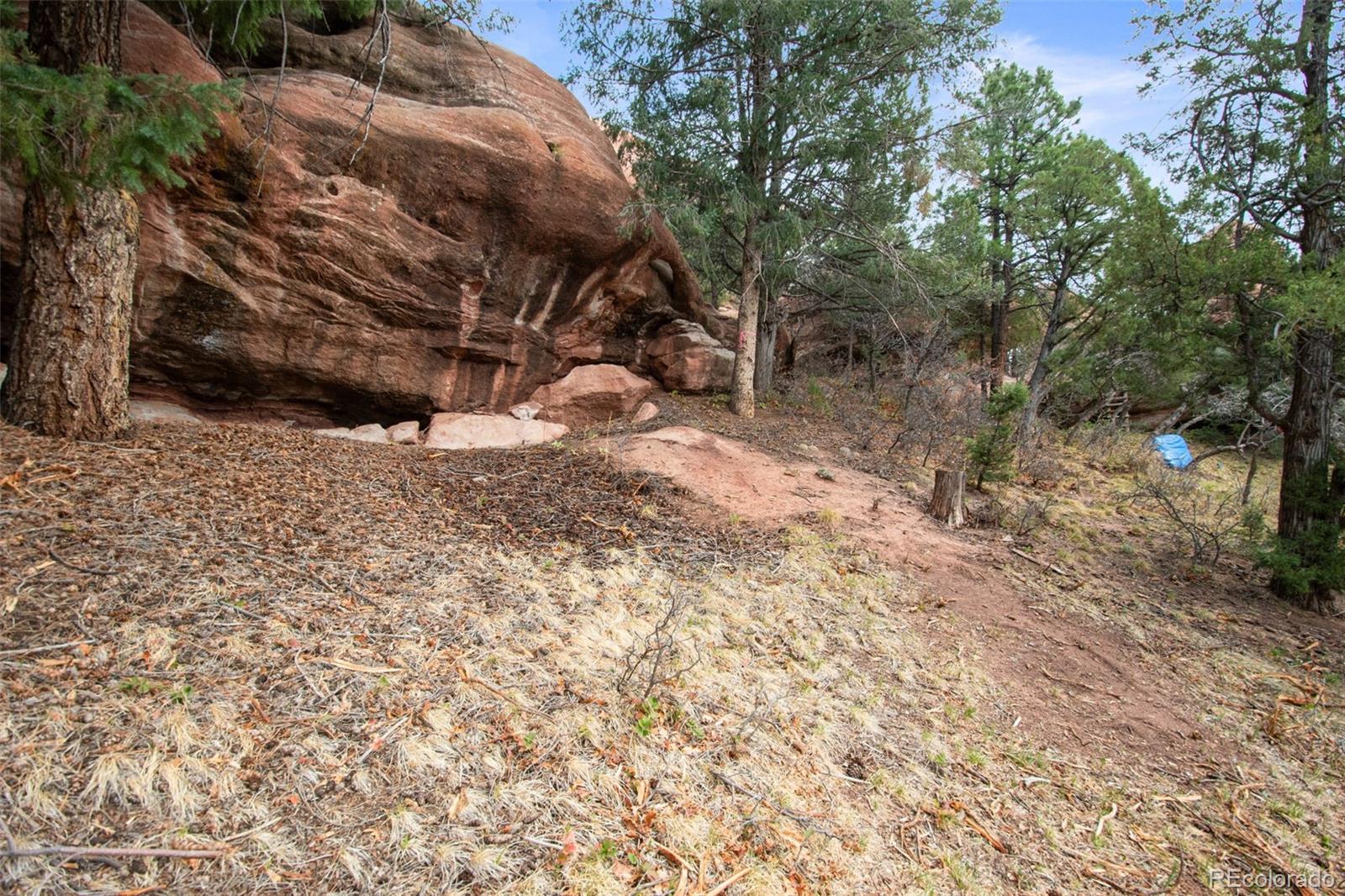 MLS Image #7 for 6323  pike circle,larkspur, Colorado