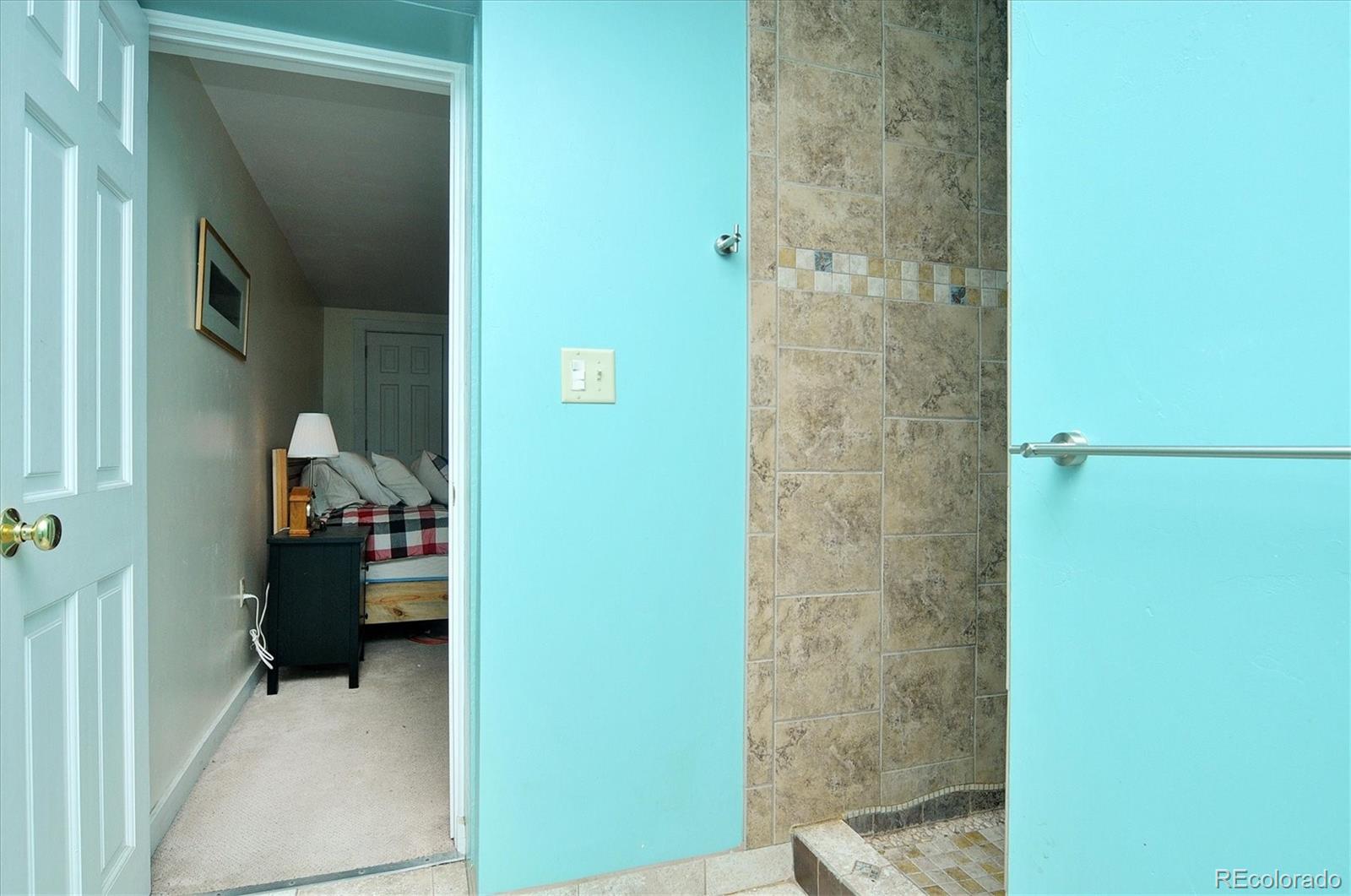 MLS Image #16 for 225  f street,salida, Colorado