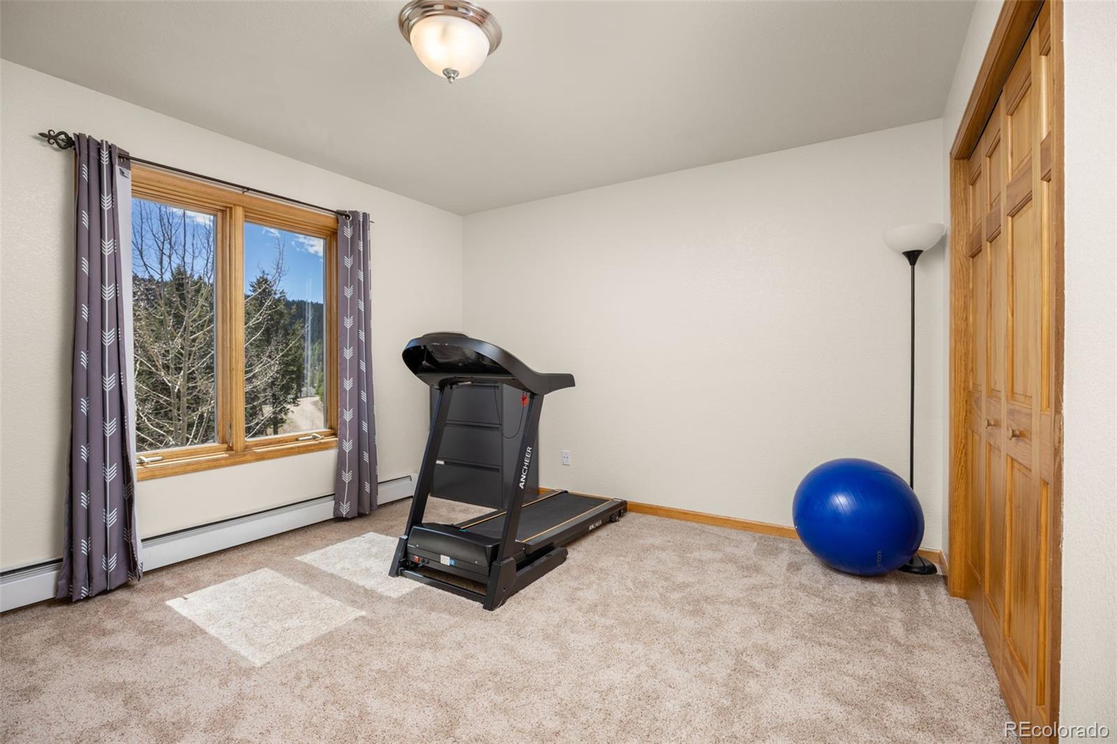MLS Image #16 for 89  carroll court,black hawk, Colorado