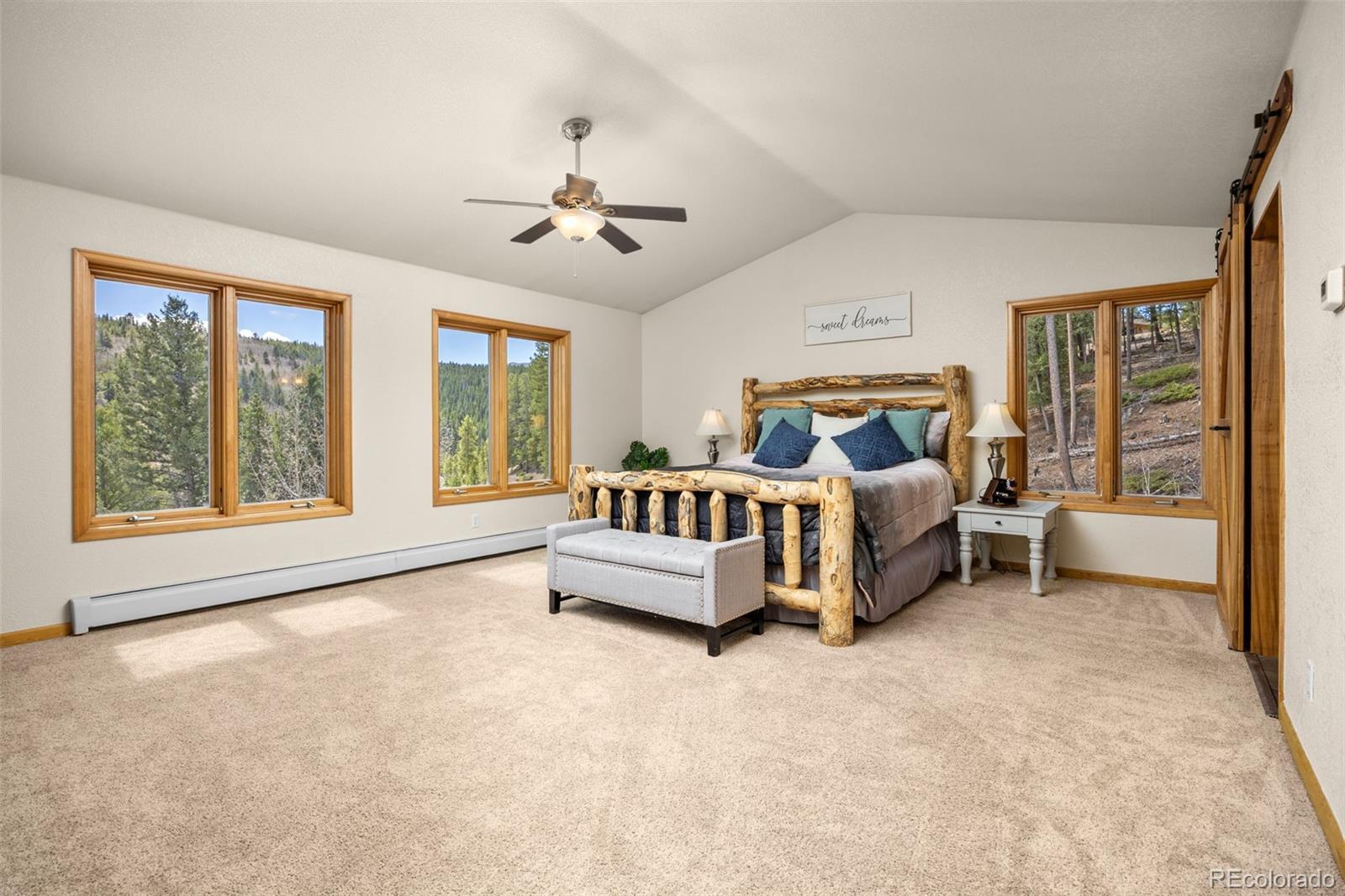 MLS Image #20 for 89  carroll court,black hawk, Colorado