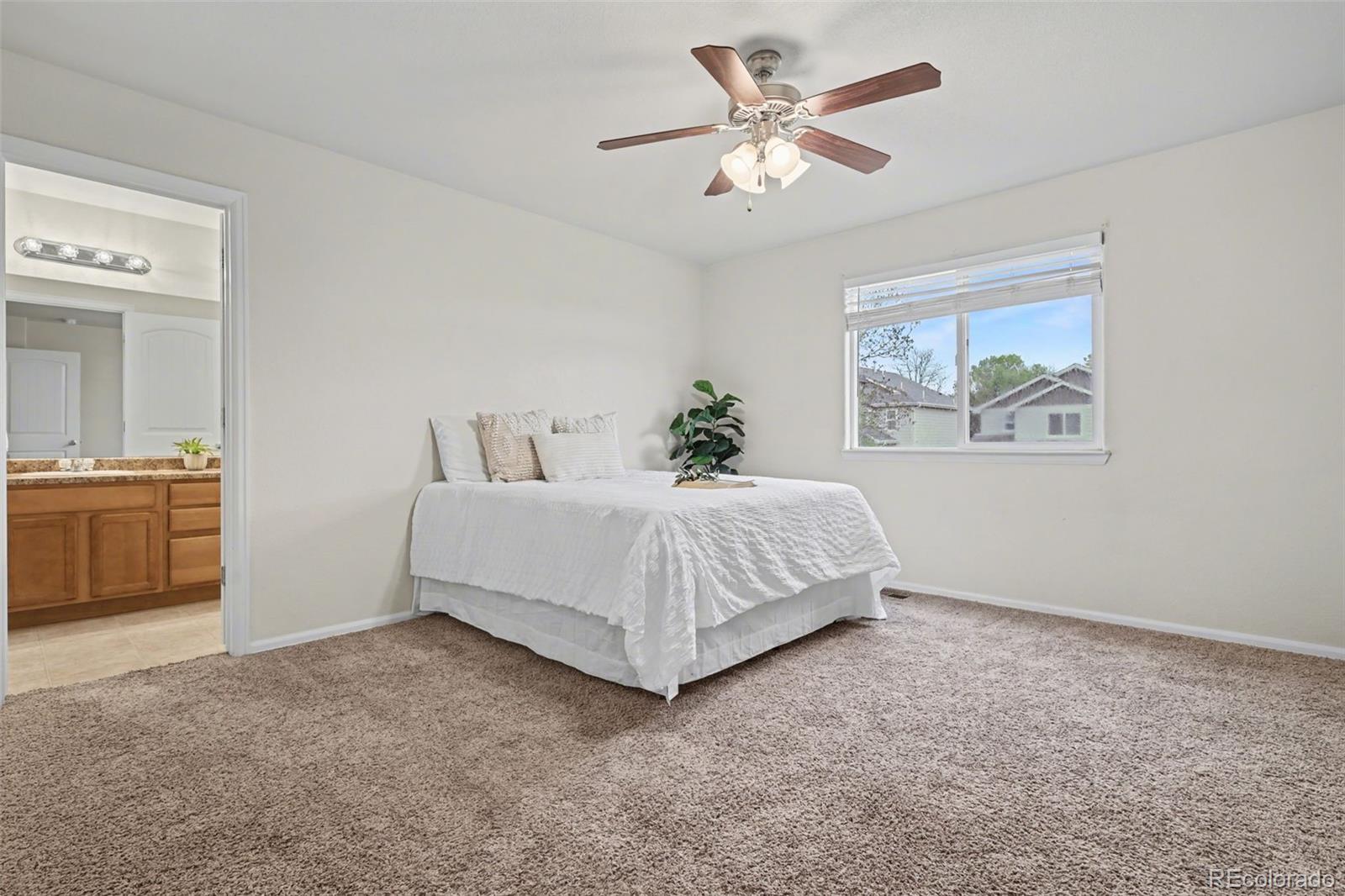 MLS Image #16 for 2465  sierra springs drive,colorado springs, Colorado